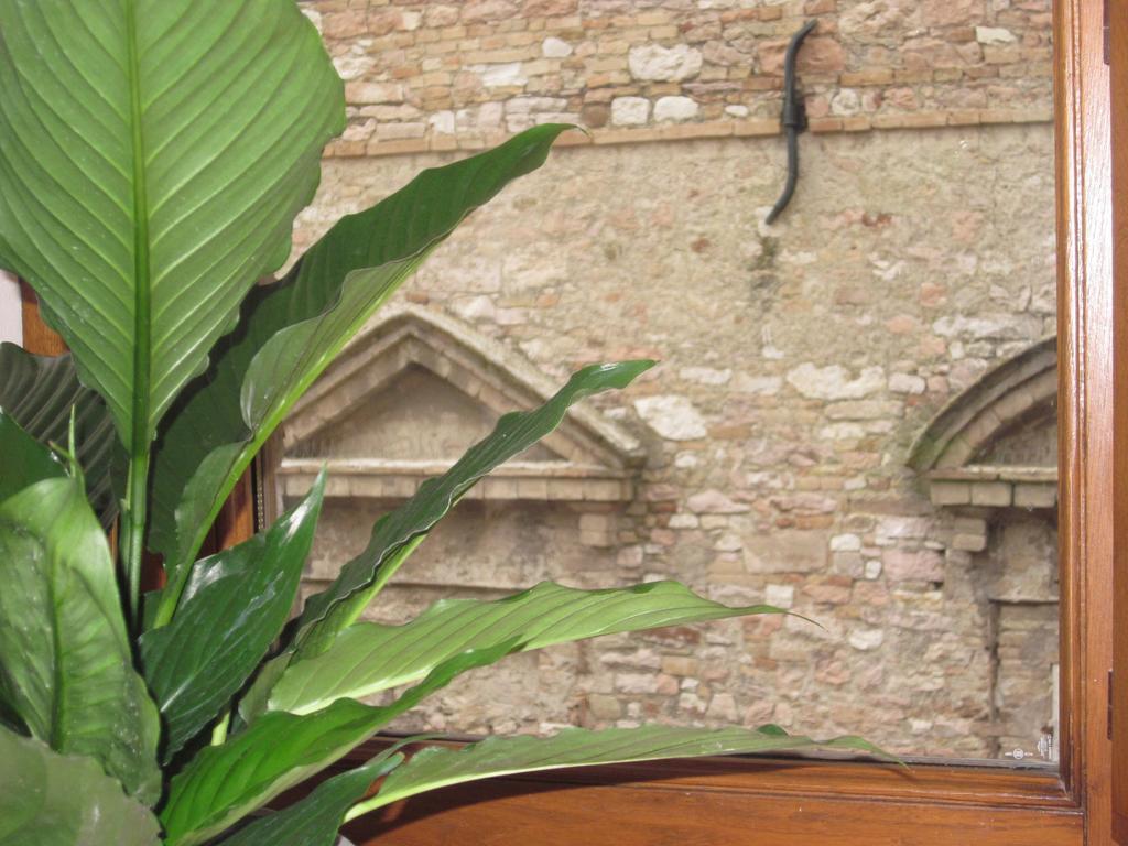 Helios Assisi Quarto foto